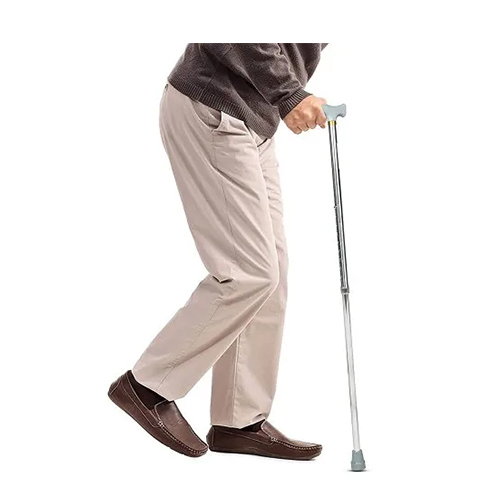 Walking Stick Monopod in Lakshadweep